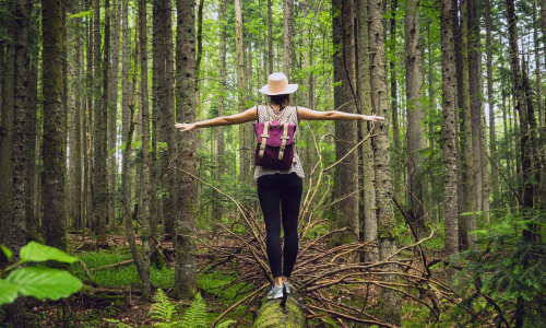 forest bathing