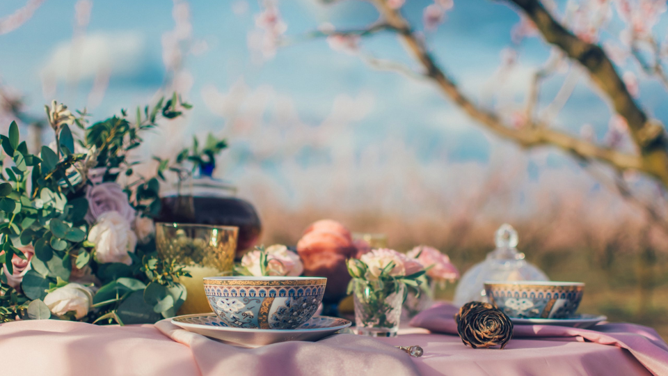out doors tea party setting