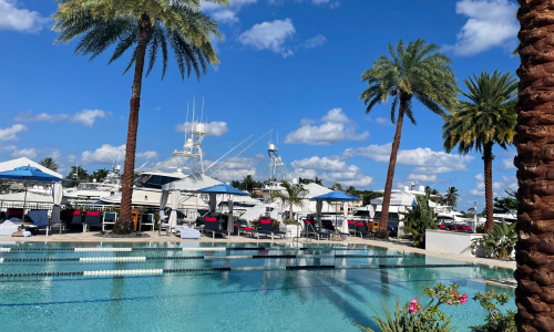 AdmiralsCove_Pool_palm_trees